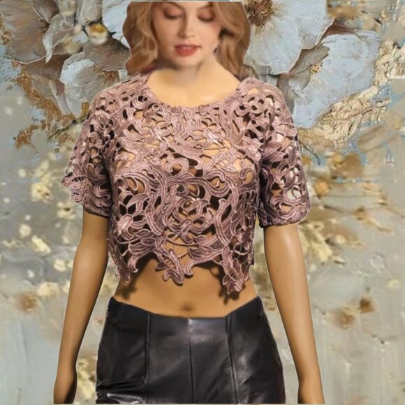 JESS C. Blush Champagne Floral Guipure Lace Short Sleeve Crop Top Blouse Sz 4 - Picture 1 of 6